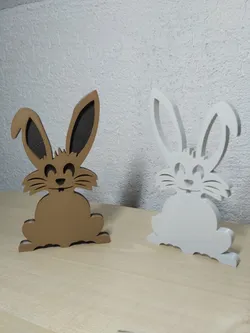 Funny bunny