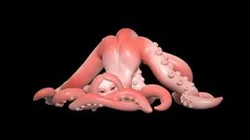 Otopus Girl