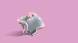 pink python