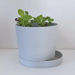 PLANTER 03