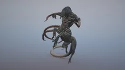 Rash