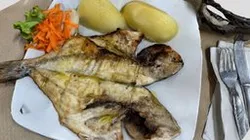 Dorado Fish dish Portugal Photogrammetry
