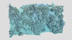 Masig_BA2D_P4_202104