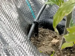 Piquets d'arrosage pour irrigation