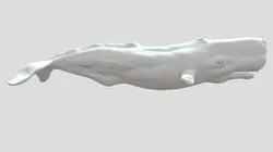 Sperm Whale