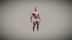 test 3d.csm.ai