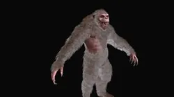 Yeti
