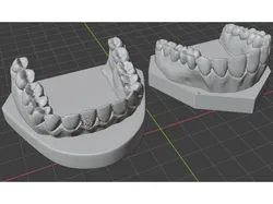 Arcada dentaria + base
