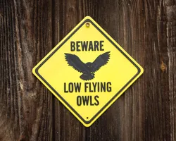 BEWARE LOW FLYING OWLS warning sign. Single colour printers friendly.