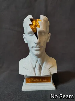 Insights into a Genius: Nikola Tesla