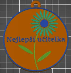 Medal for the best teacher