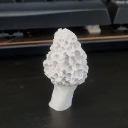Morel Mushroom - Scan