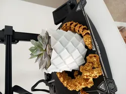 Planter: Parametric Planter