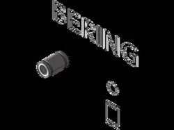 Bering