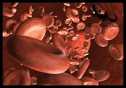 Blood circulation 3D model