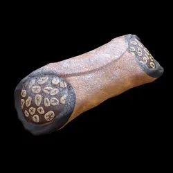 CannolisChocolate