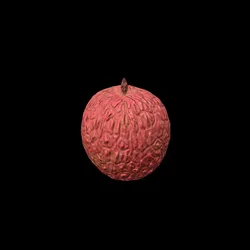 Lychee
