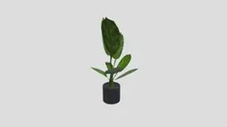 pot_plant