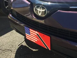 Trinidad and USA Flag Plate