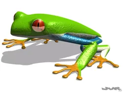 Agalychnis Callidryas - Tree frog 3D model