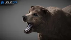 Animated Bear 3D model