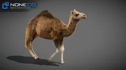 Animated Camel v2 3D model