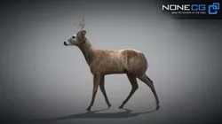 Animated Deer 3D model