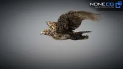 Animated Hawk 3D model
