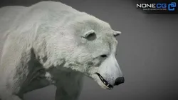 Animated Polar Bear 3D model