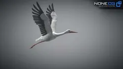 Animated Stork 3D model