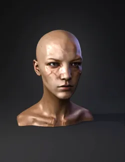 bald human head and neck with realistic skin texture