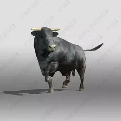 Black Bull 3D model