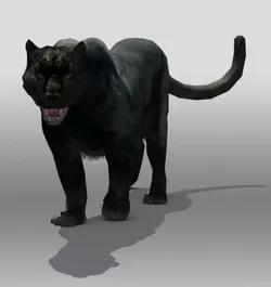 Black Panther 3D model