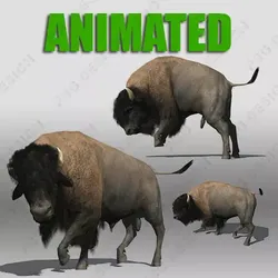 Buffalo bison - bison Low-poly 3D model