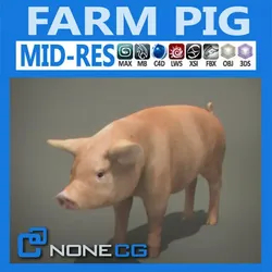 Farm Pig 3D model