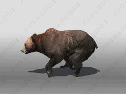 Grizzly Bear Animated Low-poly 3D model