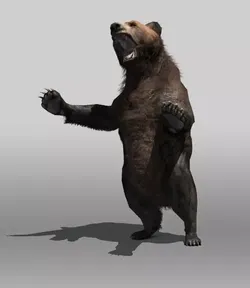Grizzly Bear Low-poly 3D model