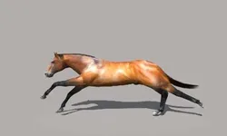 Horse Animated Low-poly 3D model