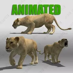 Lioness Animated Low-poly 3D model