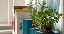 Modular self-watering pot