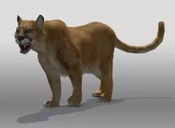 Mountain Lion 3D model