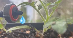 Peristaltic Pump (simple & working) for an automated fertilizer