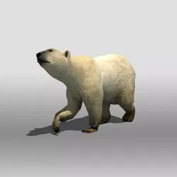 Polar Bear Low-poly 3D model