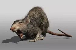 Rat animal Low-poly 3D model
