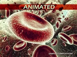 Red Blood Cells Animated 3D model