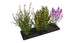 Three wild flowers
