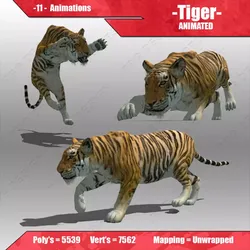 Tiger Animated Low-poly 3D model