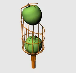 Fruit collector