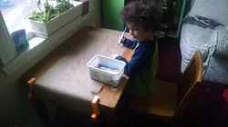 Table Clamp Paper Rollers