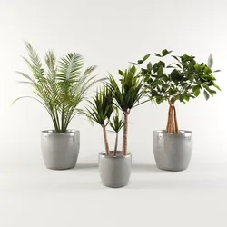Vase Pack 1